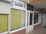 Blackberry (улица Репина, 1Б/4), hairdresser