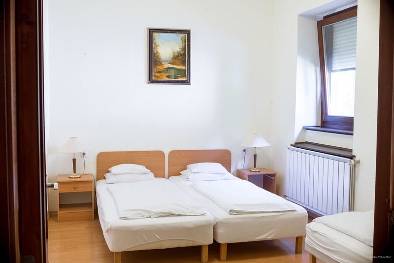 Фото Wellness Hotel Szindbád