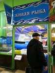 Магазин живой рыбы (Belgorod, Gubkina Street, 17Р), pescados y mariscos