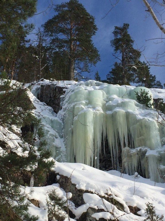 Фото Хутор Салокюля