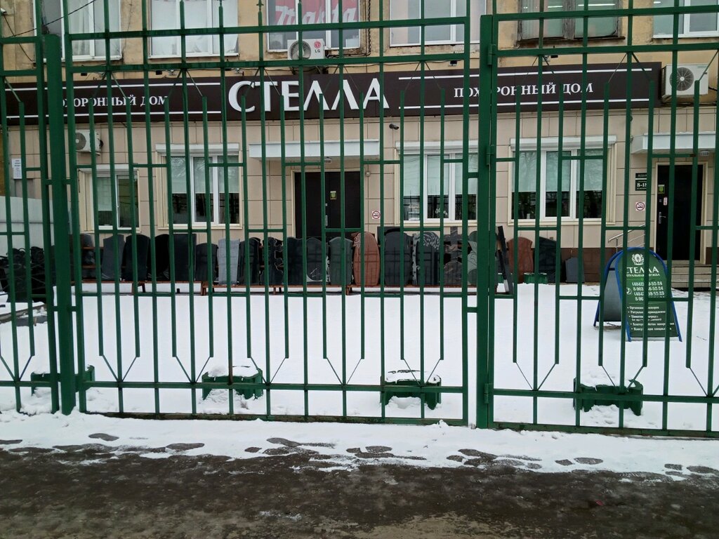 Стелла калуга