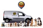 Zoo. taxi (Simferopolskaya ulitsa, 2/2) ، خدمات سيارات الأجرة