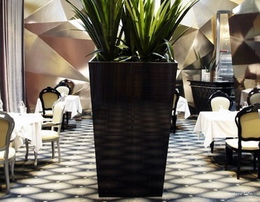 Фото Vagabond Soho