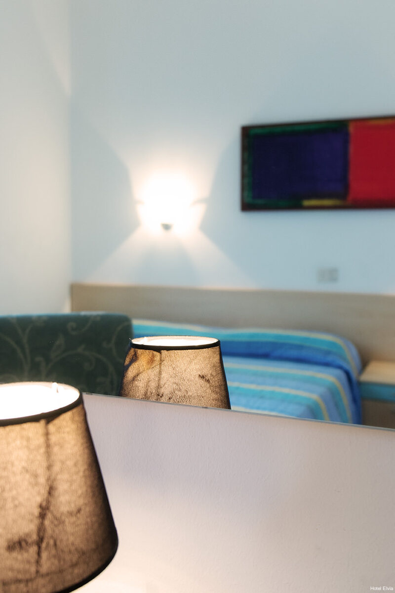 Фото Hotel Elvia