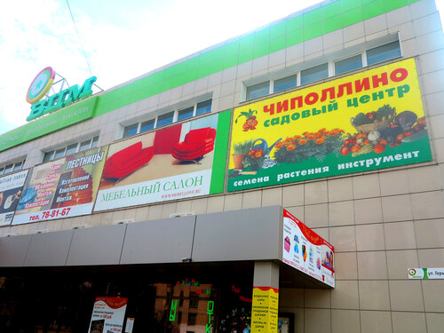 Чиполлино ленинградская ул 71 корп 3 фото