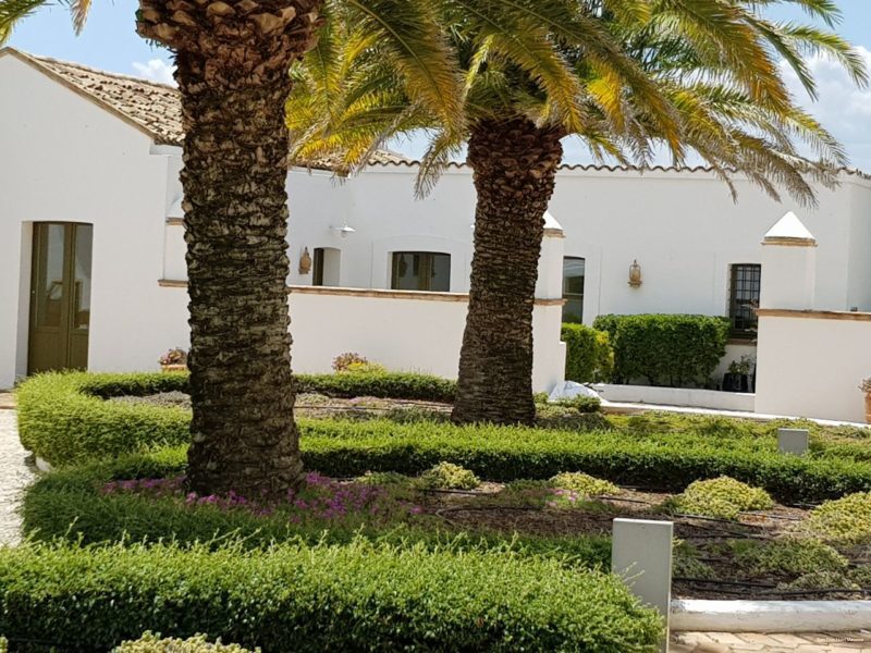 Фото Torre Fiore Hotel Masseria