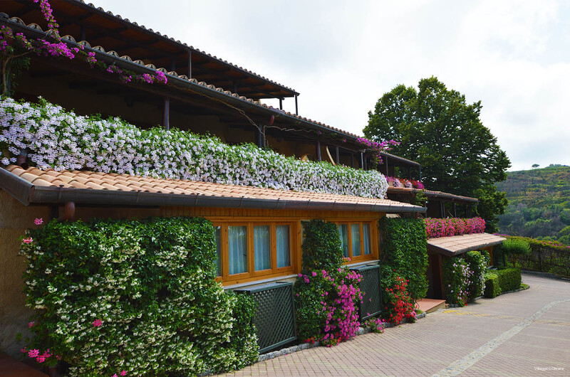 Фото Villaggio l' Olivara