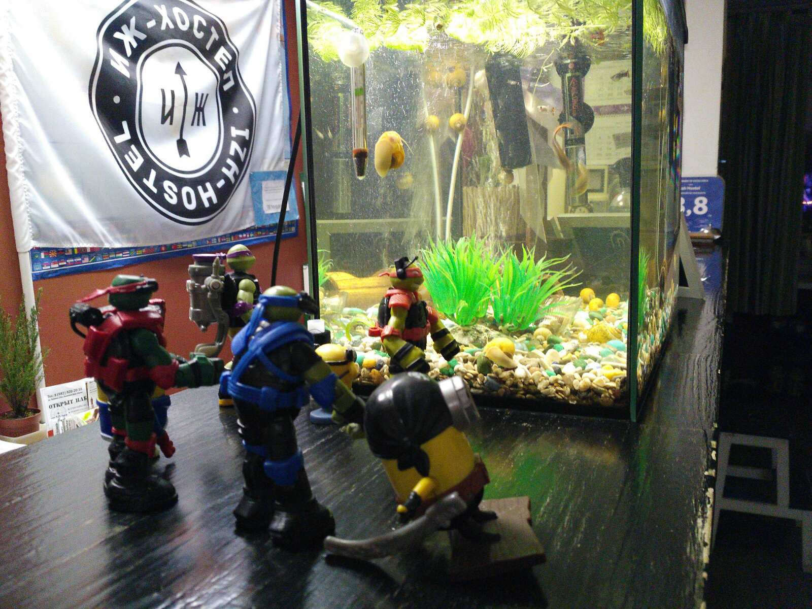 Фото ИжХостел