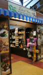 Dom Chaya (Sovetskaya Square, 7), tea shop