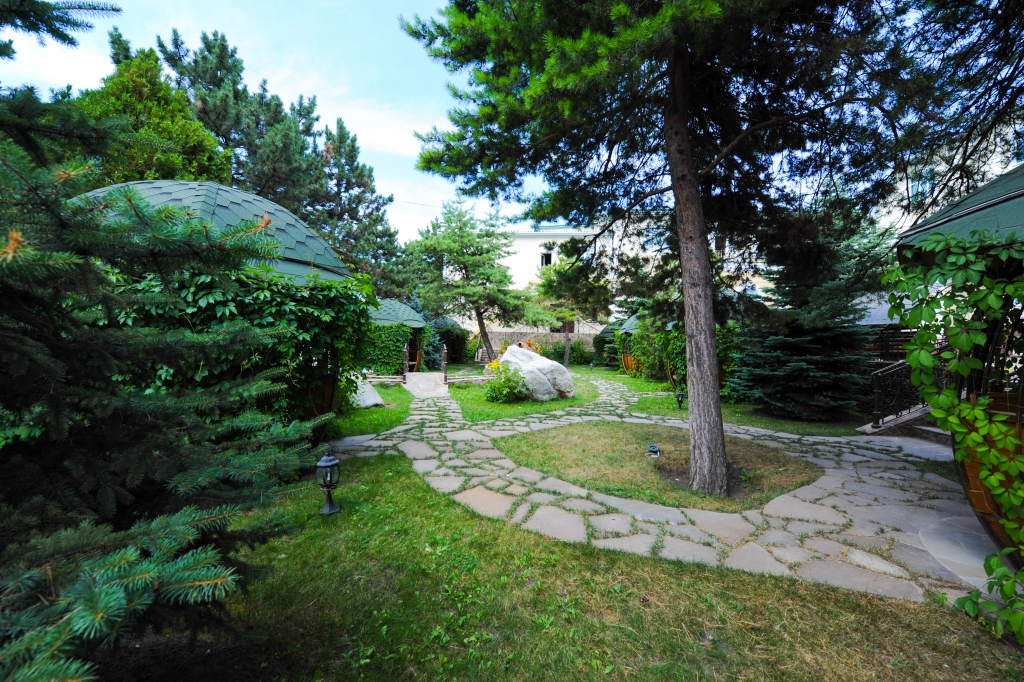 Фото Эдельвейс