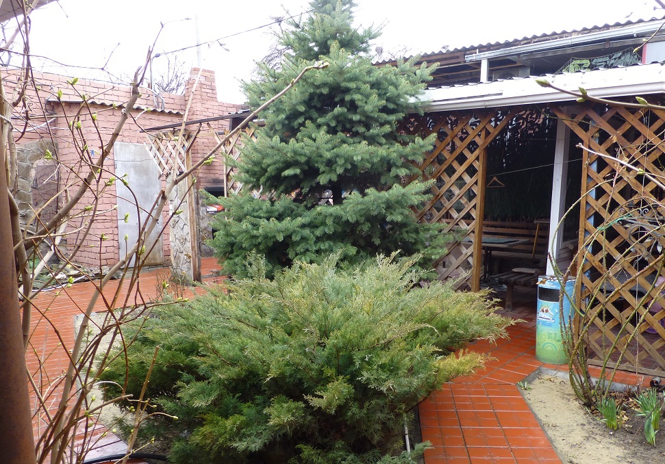 Фото Штурман