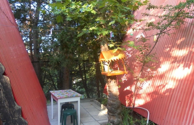 Фото Солнечное Море