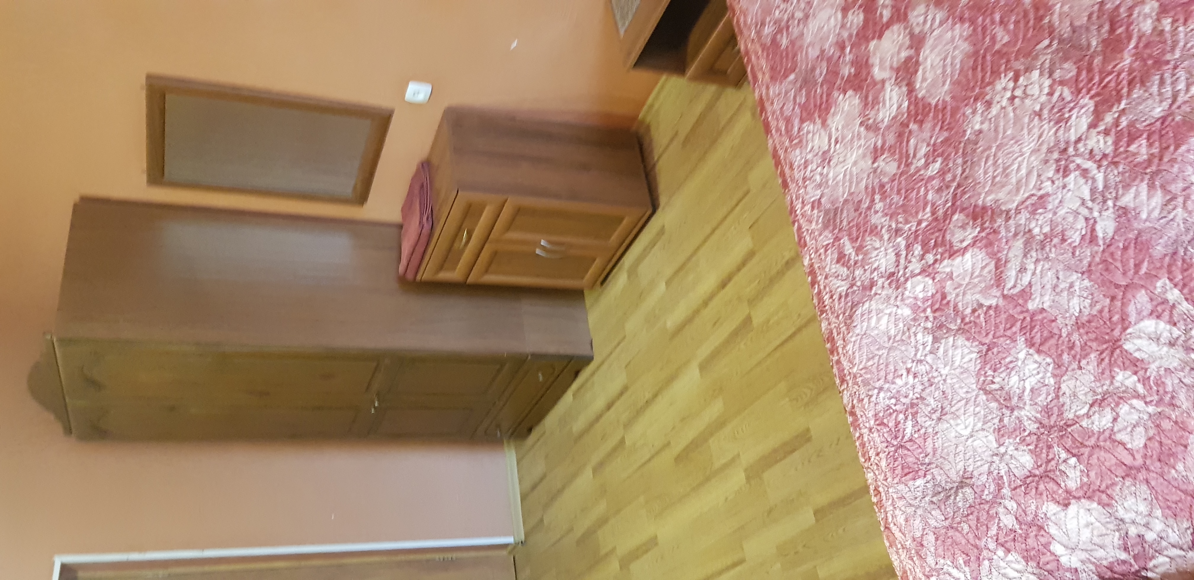 Фото Берёзка