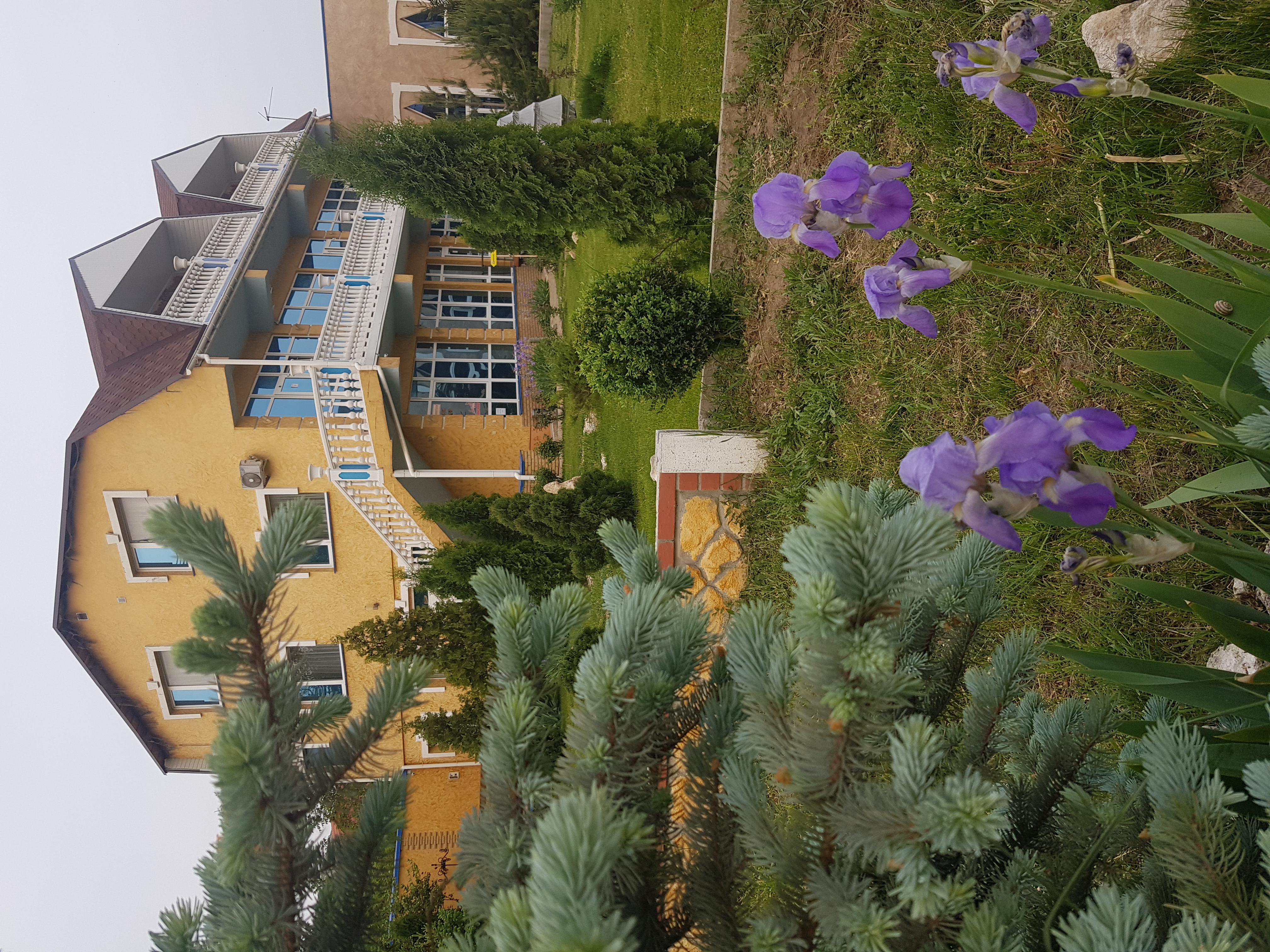 Фото Марсель