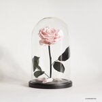 Roses in a flask - loveroses.ru (Malaya Dmitrovka Street, 15), gift and souvenir shop