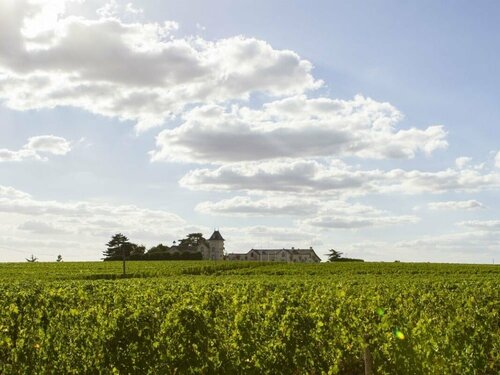 Гостиница Domaine de la Soucherie в Анжере