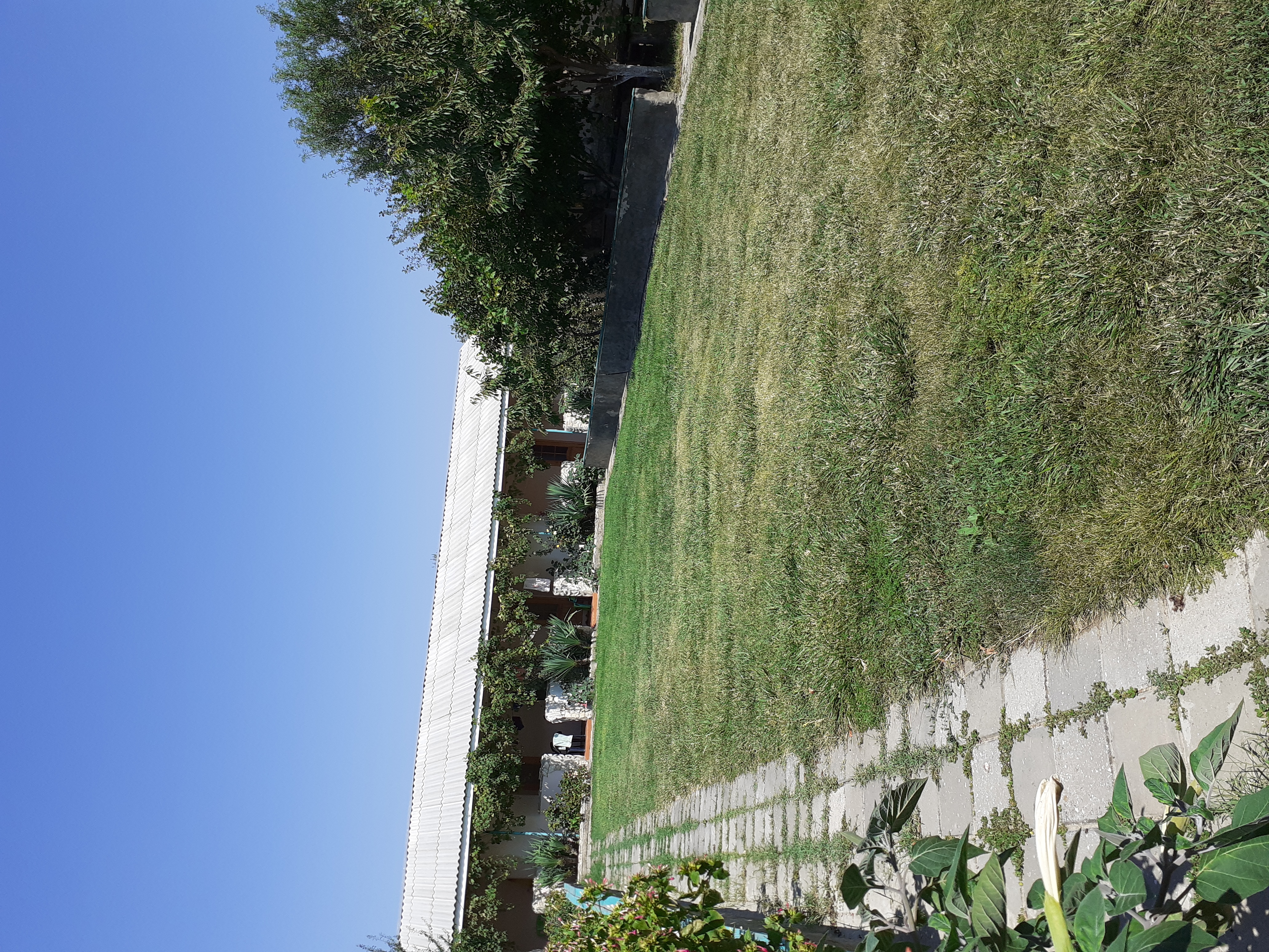 Фото Усадьба Отрада