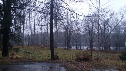 САНАТОРИЙ ТУБЕРКУЛЕЗНЫЙ САНАТОРИЙ ВЫБОРГ-3 — Яндекс Путешествия