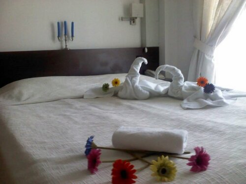 Гостиница Hotel Elitsa в Банско