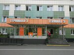Polyclinic № 1, Terminal № 3 (Marshala Chuykova Street, 54) kattalar poliklinikasi 
