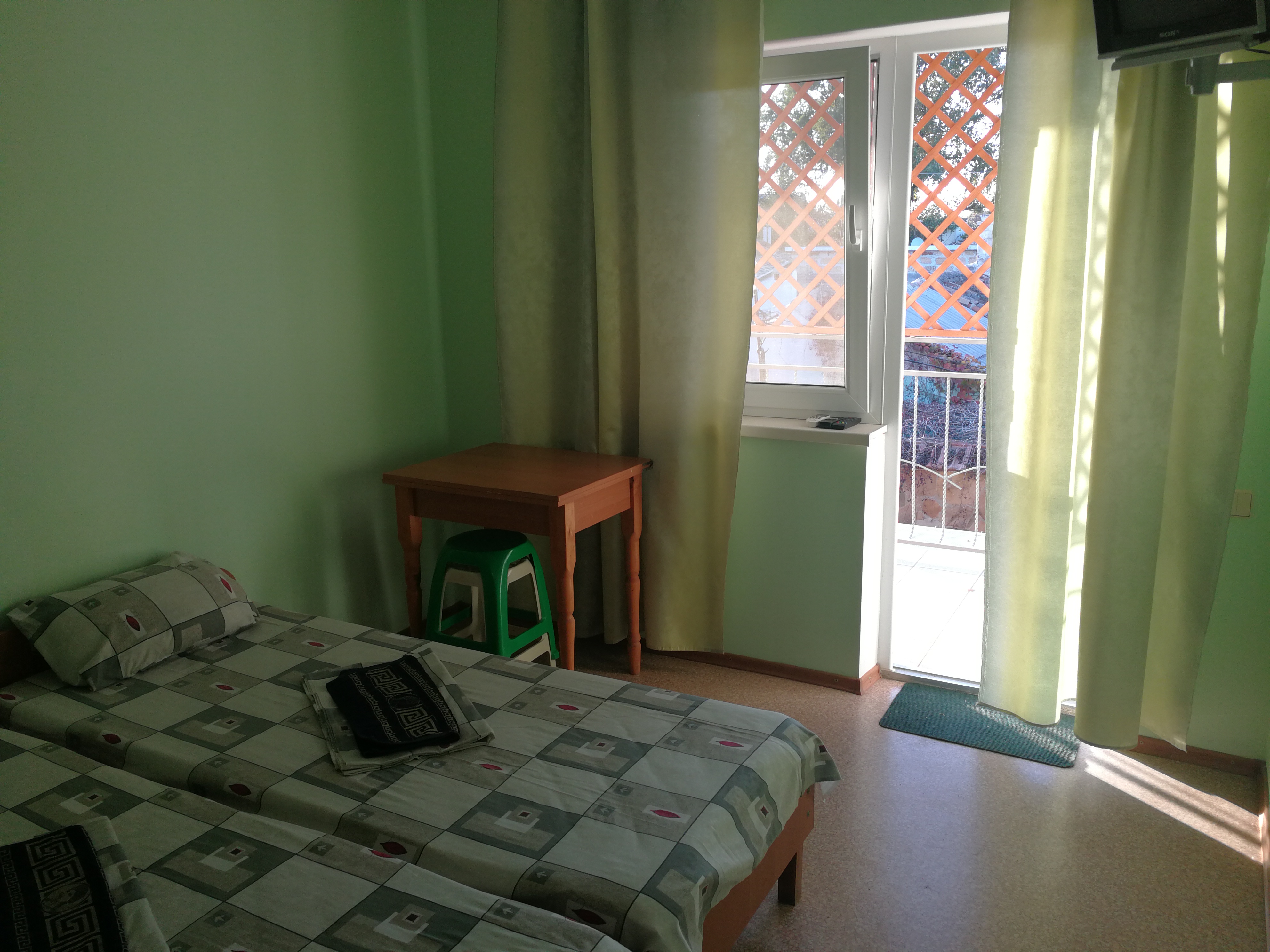 Фото Виноградная Лоза