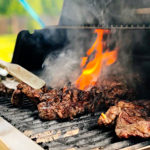 Grizzly grill deals