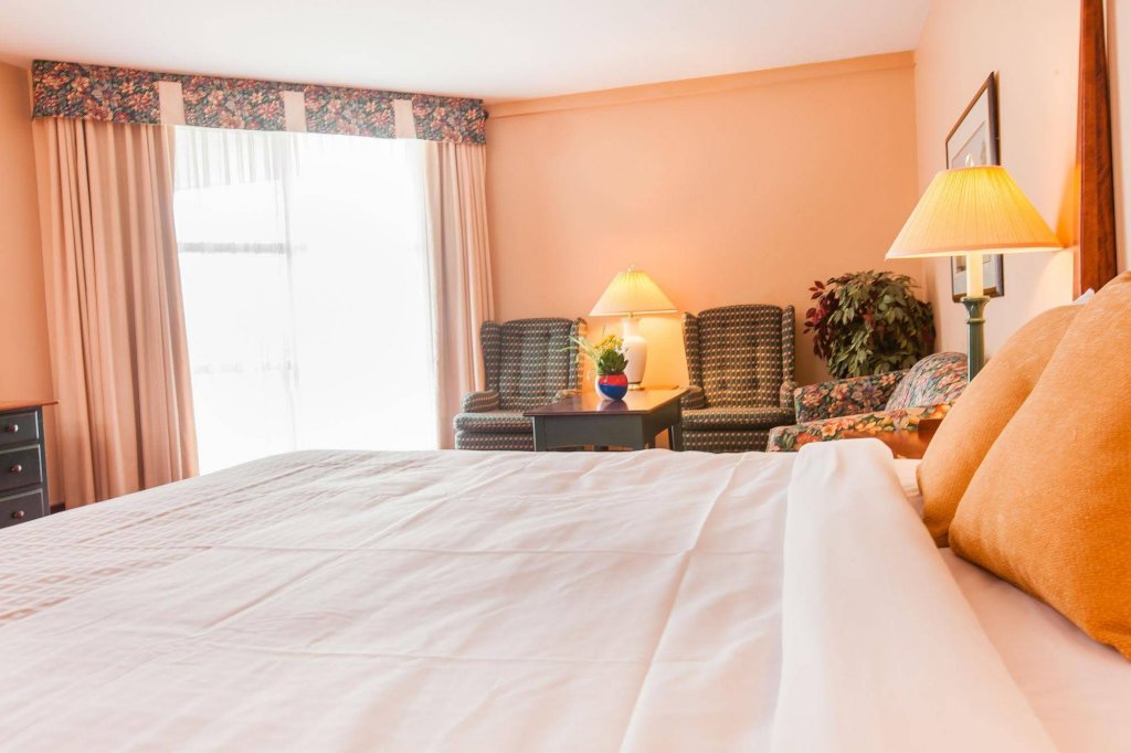 Фото Rodd Brudenell River