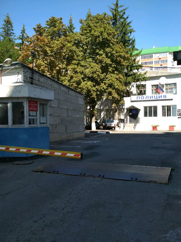 Órganos de supervisión estatal Dezhurnaya chast batalona PPS, , foto