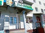 Eco-Polza (Baykalskaya Street, 147), grocery