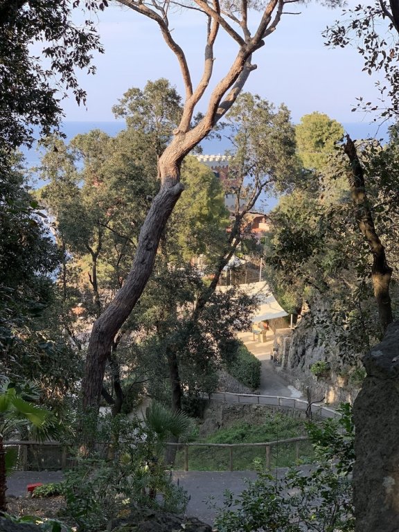 Фото Mezzatorre Hotel & Thermal SPA