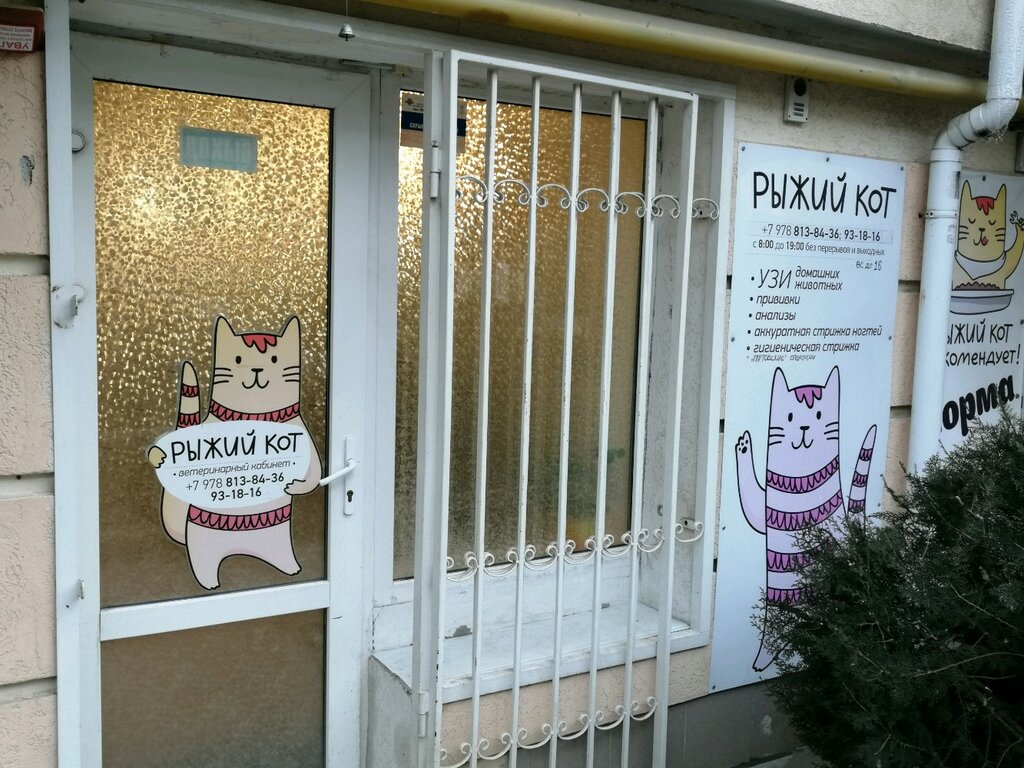 Ветеринарная клиника Рыжий кот, Севастополь, фото