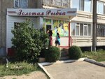 Golden Fish (Iýrıı Gagarın kóshesi, 18), pet shop