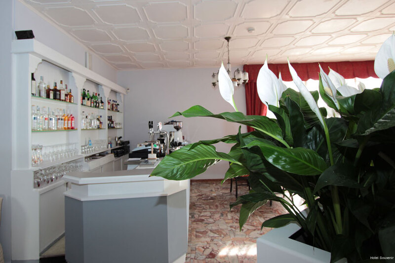 Фото Hotel Souvenir