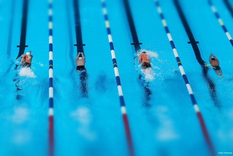 Фото Hotel Feldberg