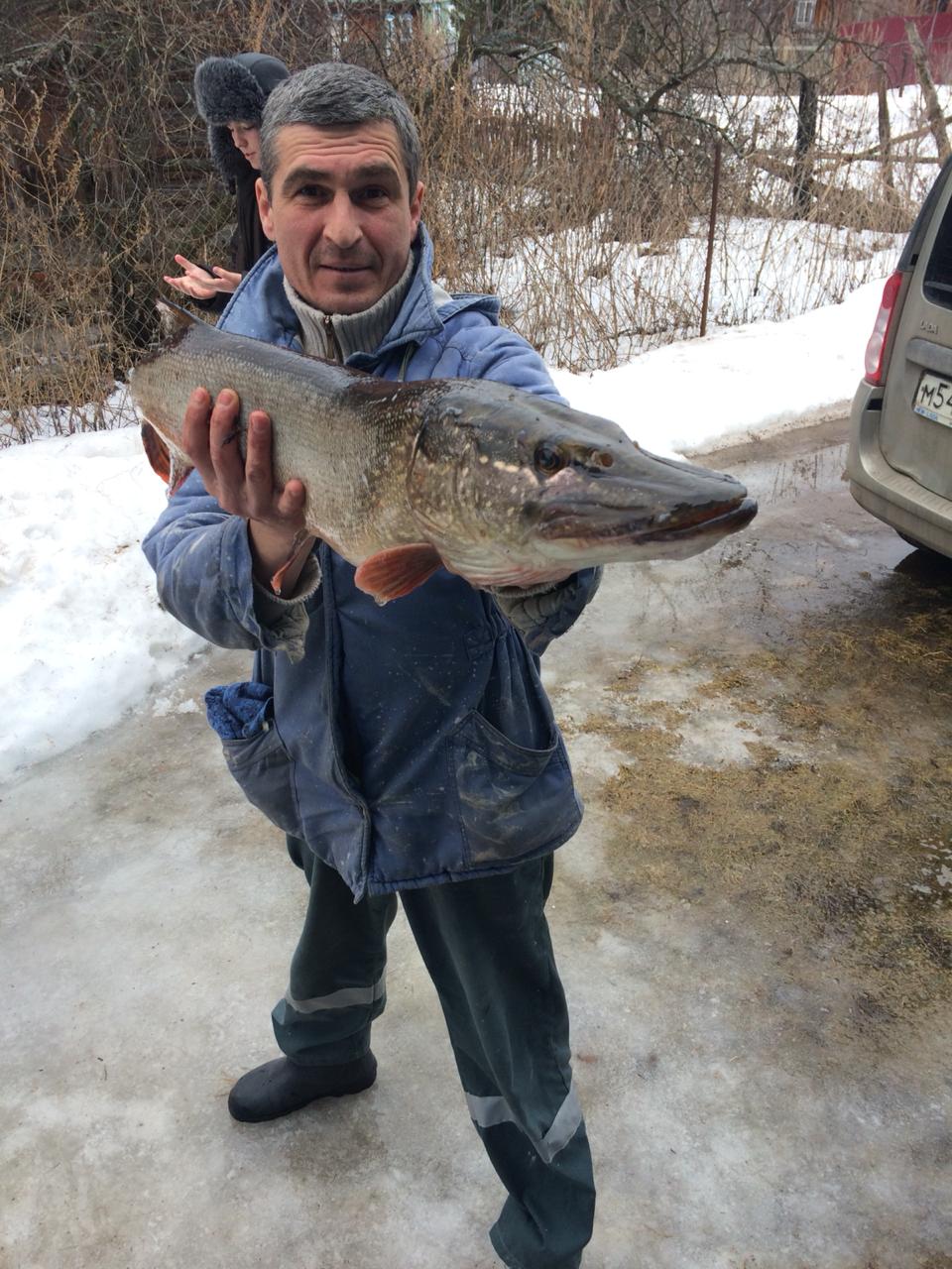 Фото Лепота