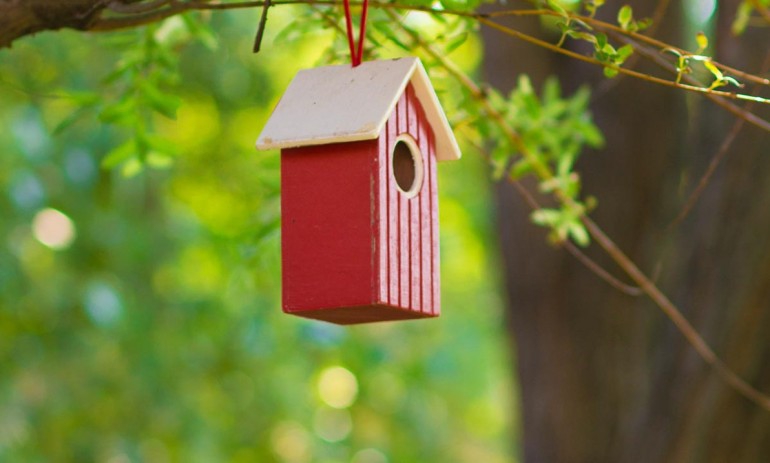 Фото Меридиан-Юг