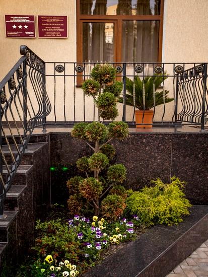 Фото Золотой дом