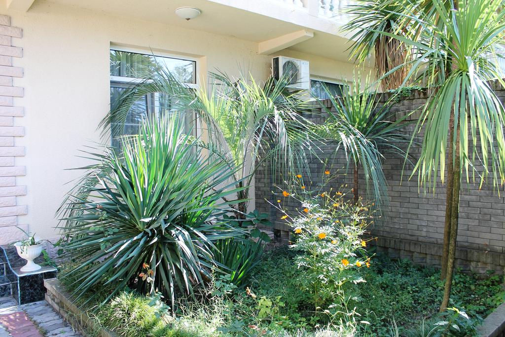 Фото Виктория