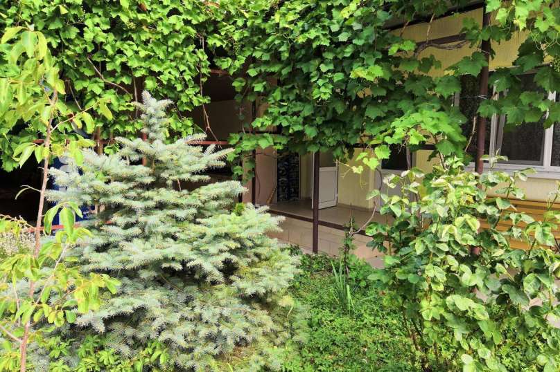 Фото Гостевой дом Роза