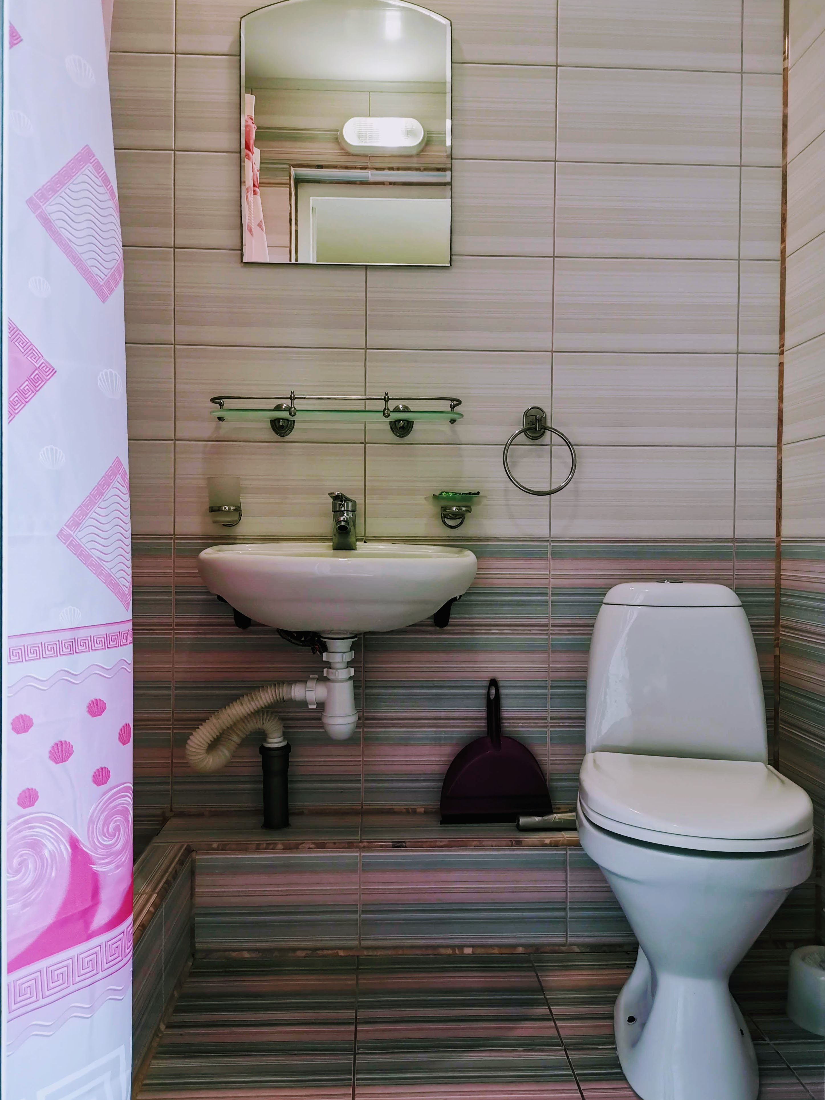 Фото Ракушка Блага