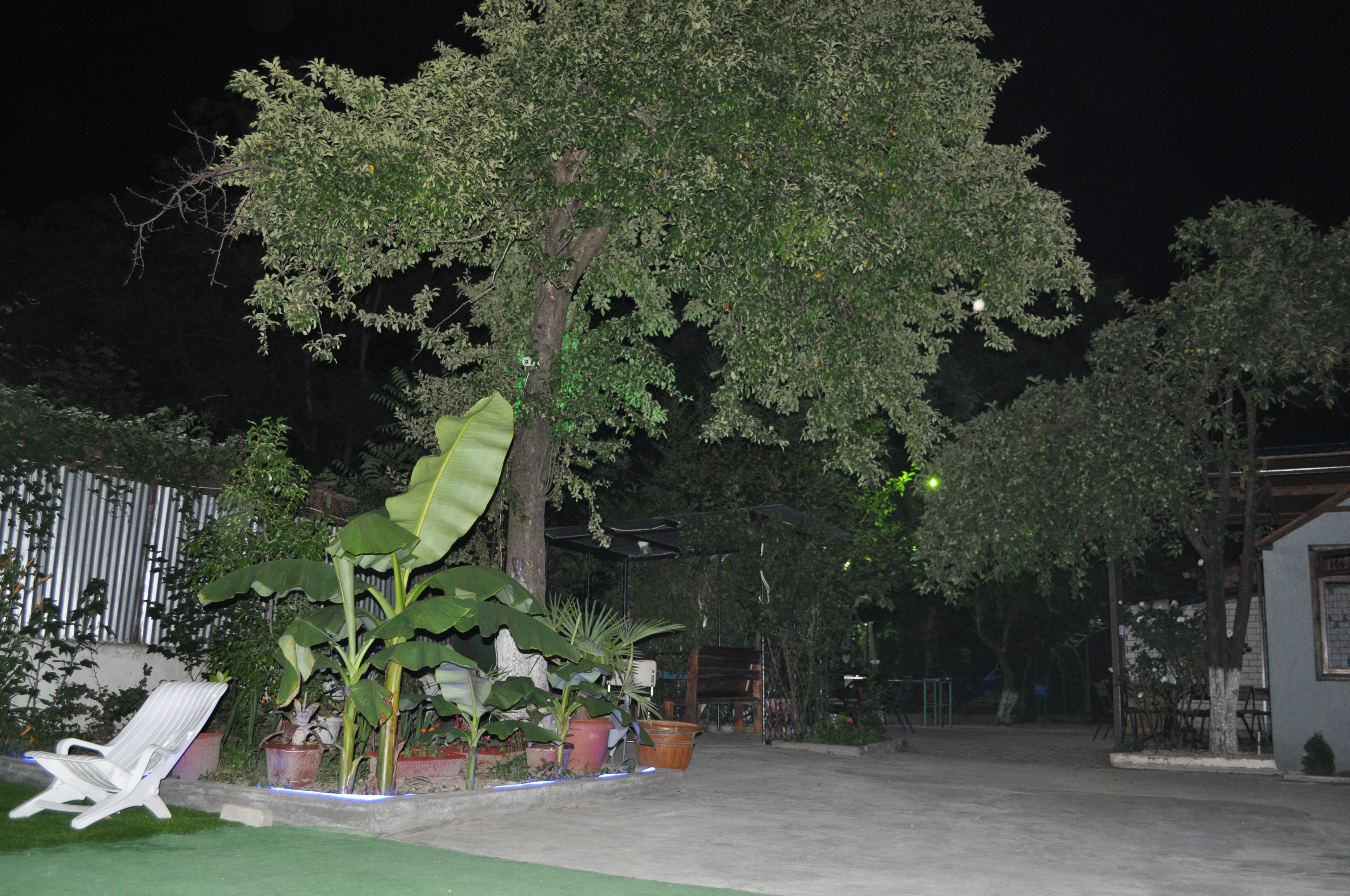 Фото Олений Ручей Отель 