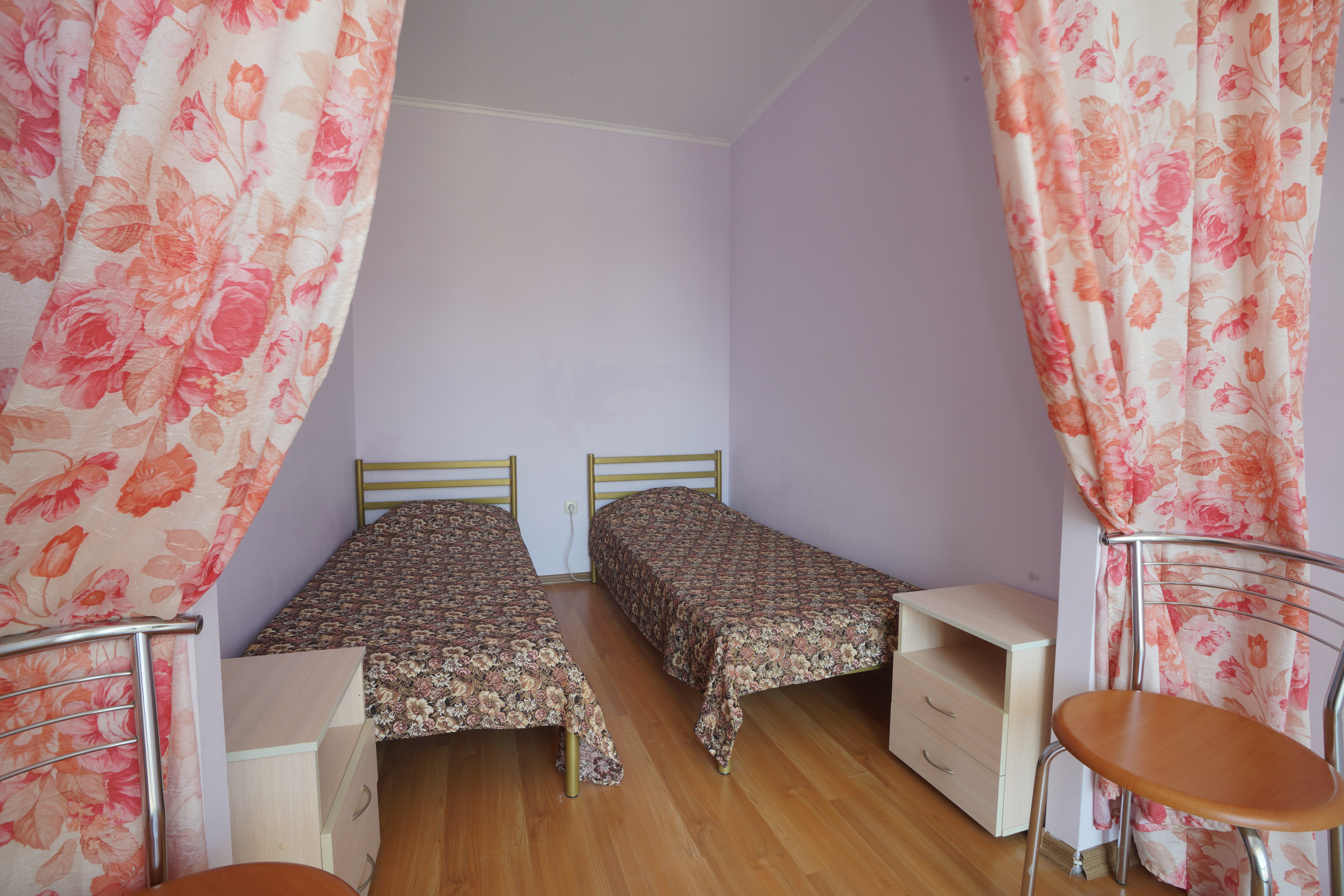 Фото Эдельвейс