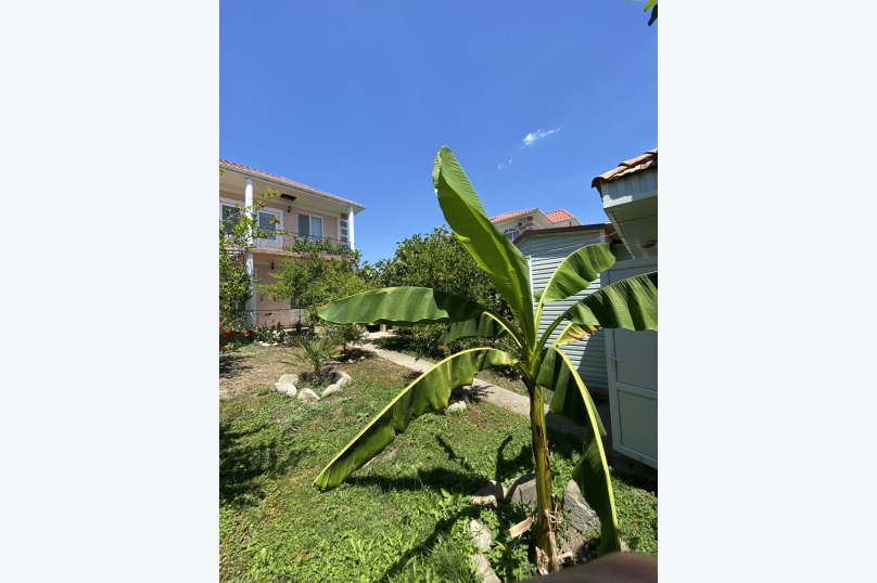 Фото Вилла Бахт