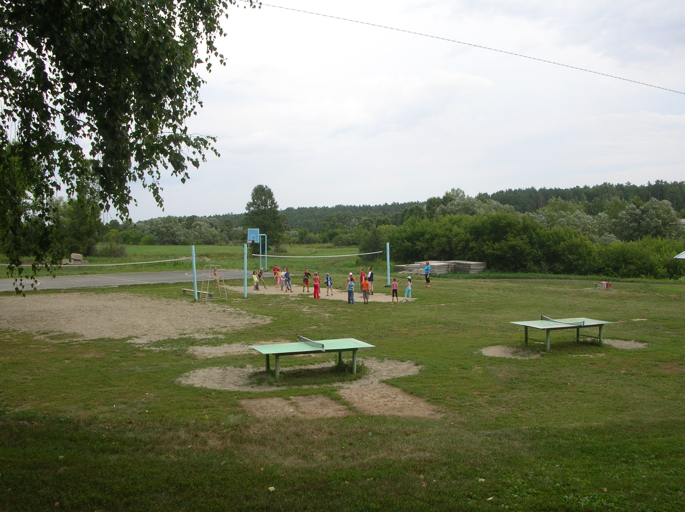 Фото Сосновый бор