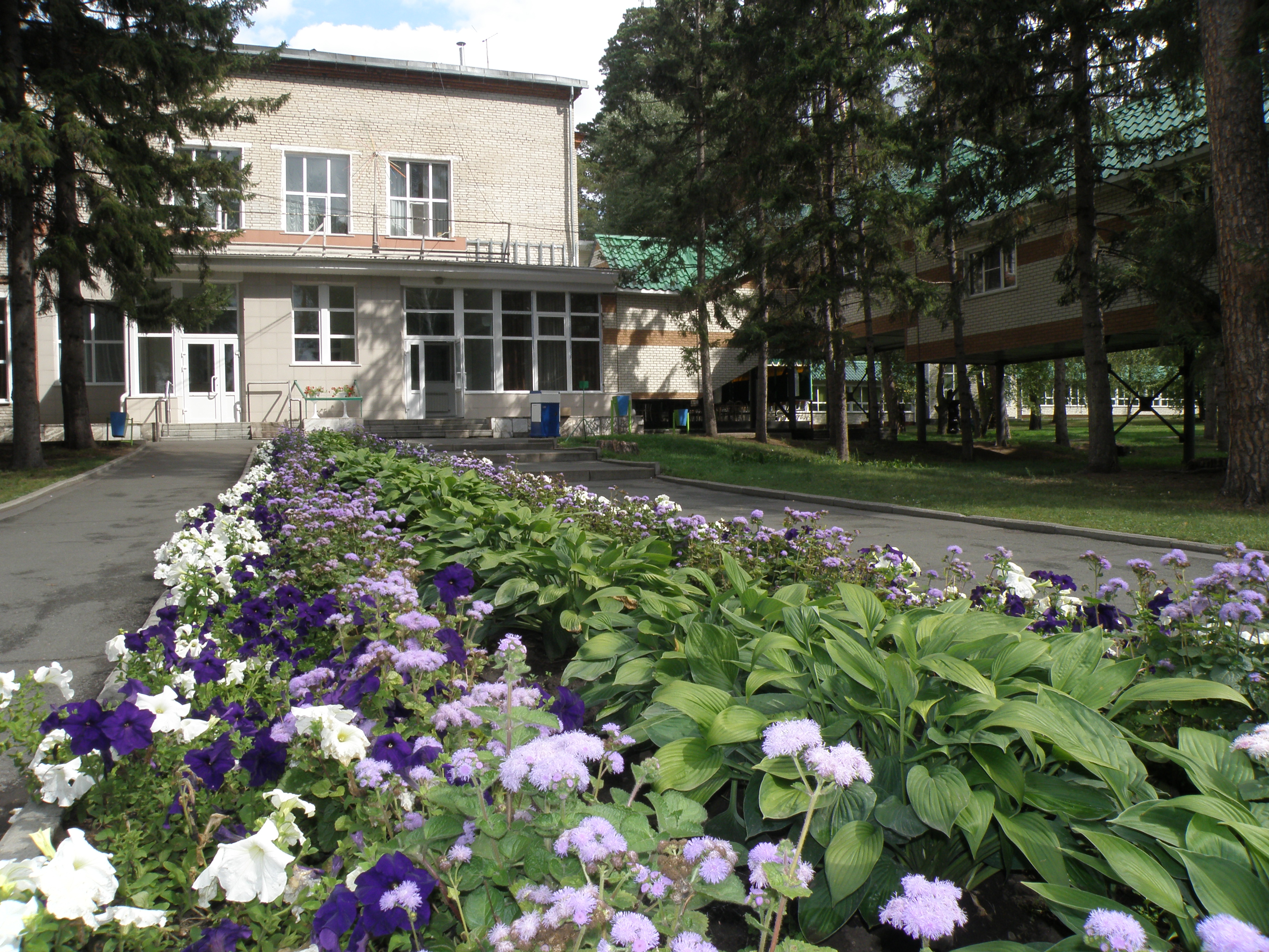 Фото Сосновый бор