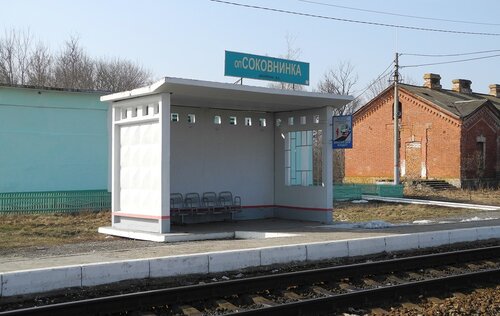 Железнодорожная станция Соковнинка, Курская область, фото