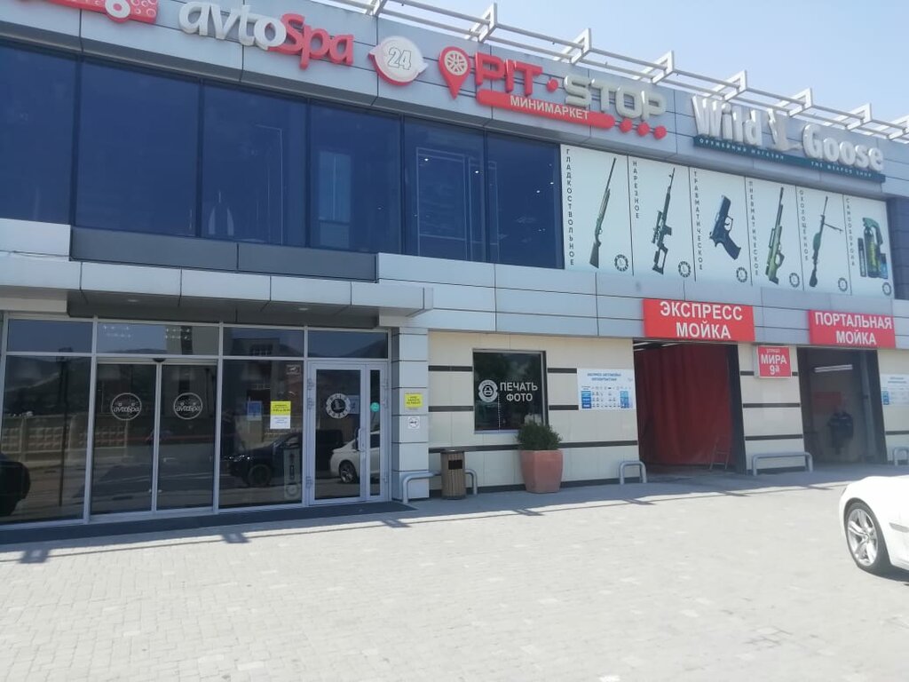 Дикий гусь ул мира 9а новороссийск фото