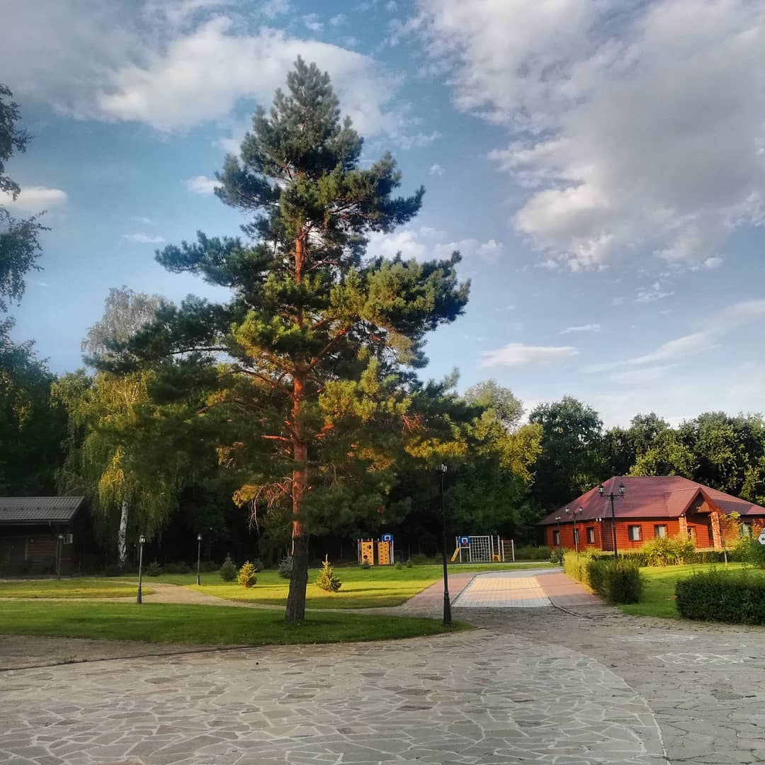 Фото Парк отель Васильевский