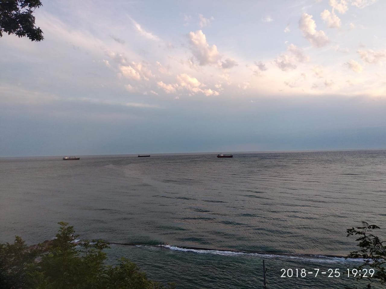 Фото Галина-чайка