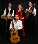 Los Buchos Cover Band (Mira Avenue, 48), artistic group